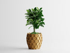 Beehavia honeycomb sculptural planter with hexagonal relief and geometric silhouette, modern indoor decor