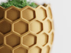 Beehavia honeycomb sculptural planter with hexagonal relief and geometric silhouette, modern indoor decor