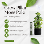 GrowPillar modular moss pole for Monstera, Pothos and Philodendron climbing plants - Information