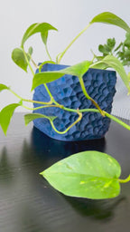 GrowPillar Modular Moss Pole for Monstera & Climbing Plants