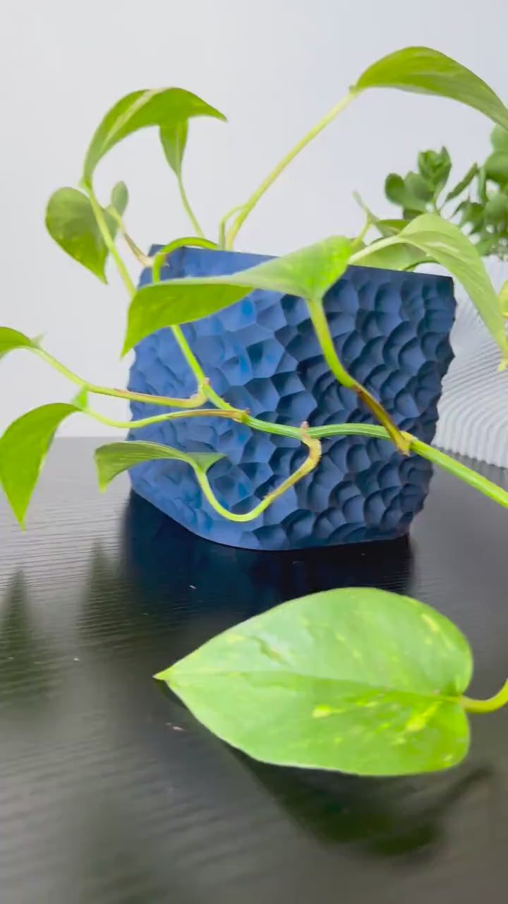 GrowPillar Modular Moss Pole for Monstera & Climbing Plants